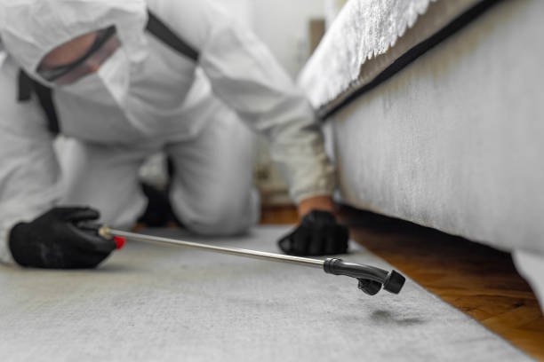Professional Bed Bug Control technician working in Bethesda, OH