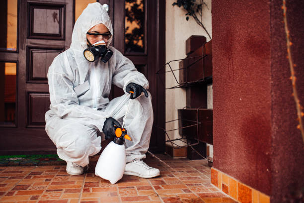 Reliable Bed Bug Control contractor in Bethesda, OH by Nex Pest Control