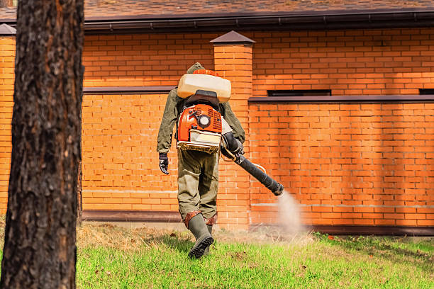 Trusted Mosquito Control service in Bethesda, OH - Nex Pest Control